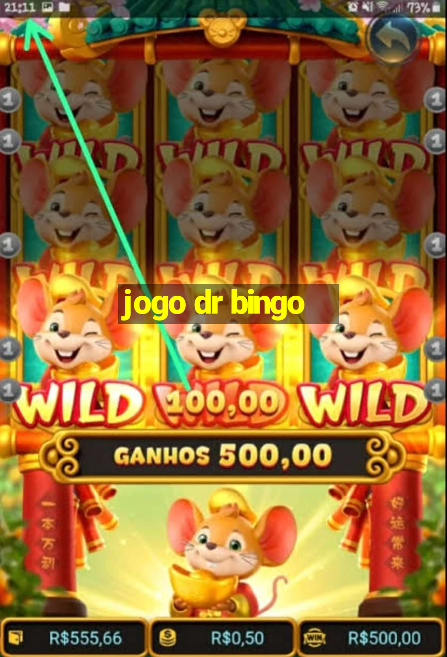 jogo dr bingo